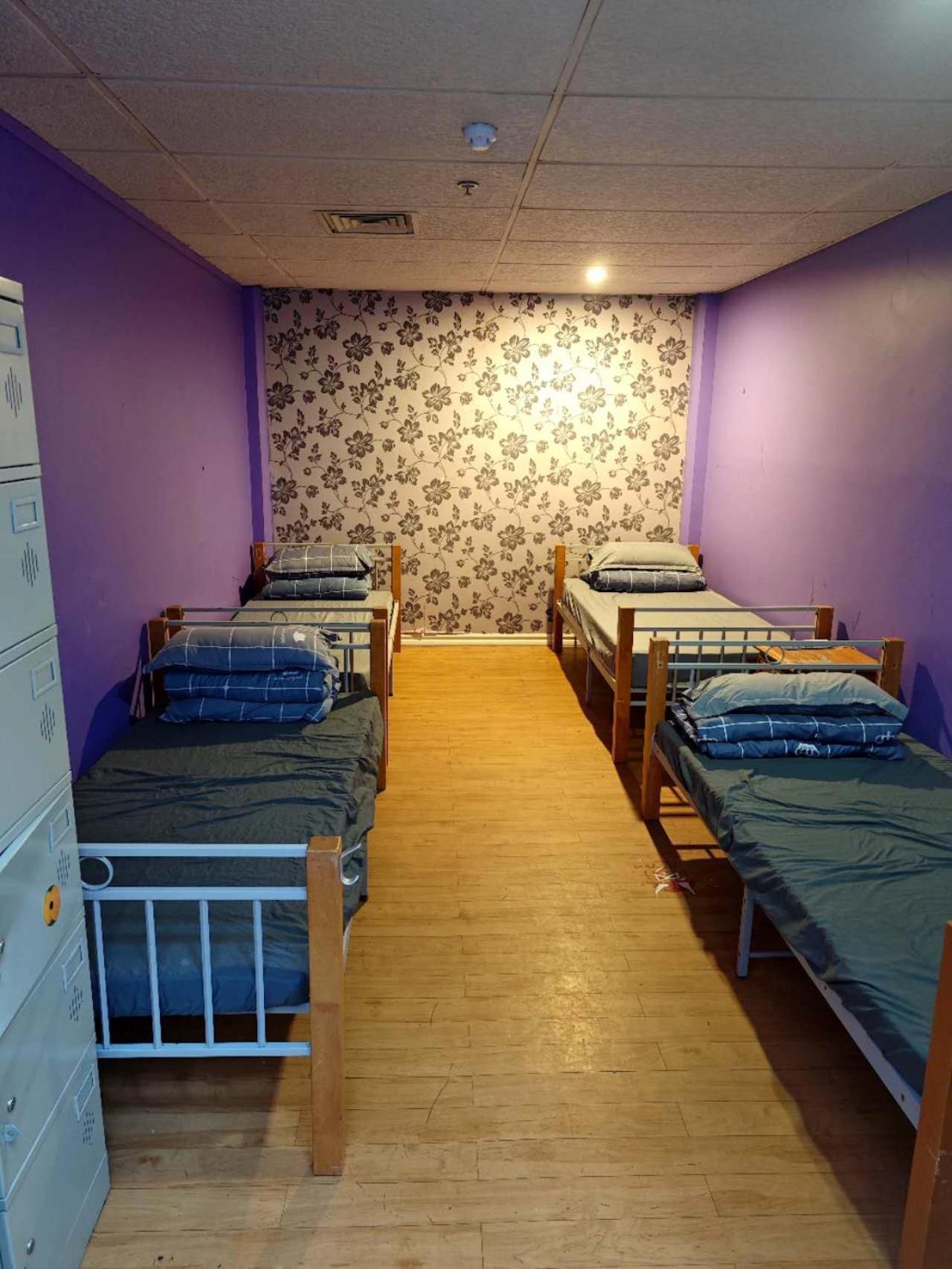 Frienz Backpacker Hostel Auckland Luaran gambar