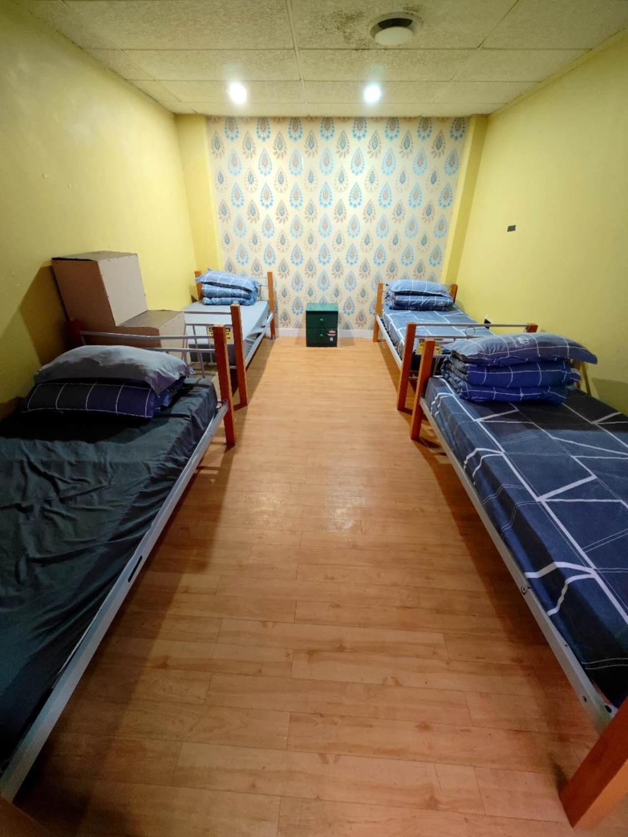 Frienz Backpacker Hostel Auckland Luaran gambar